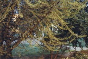 Photo - Platzhalter