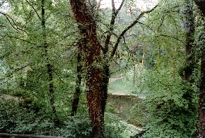 Photo - Platzhalter